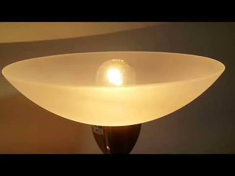 Торшер DOUGLAS LSP-0020