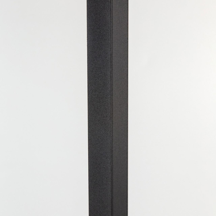 Торшер Citilux Дефанс CL804011