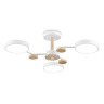 Люстра светодиодная на штанге AMBRELLA light FL4855