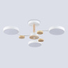 Люстра светодиодная на штанге AMBRELLA light FL4855