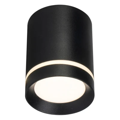 Потолочный светильник Escada 20009 20009SMU/01LED SBK