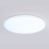 Умный светодиодный светильник Smart Ambrella Light 25W с Wi-Fi, Яндекс Алисой, Tuya, Smart Home, Alexa и ИК пультом Ambrella light FZ2002