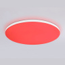 Умный светодиодный светильник Smart Ambrella Light 25W с Wi-Fi, Яндекс Алисой, Tuya, Smart Home, Alexa и ИК пультом Ambrella light FZ2002