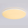 Умный светодиодный светильник Smart Ambrella Light 25W с Wi-Fi, Яндекс Алисой, Tuya, Smart Home, Alexa и ИК пультом Ambrella light FZ2002