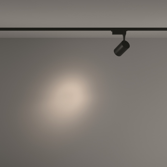 Трековый светильник Maytoni Vuoro TR003-1-10W4K-S-B