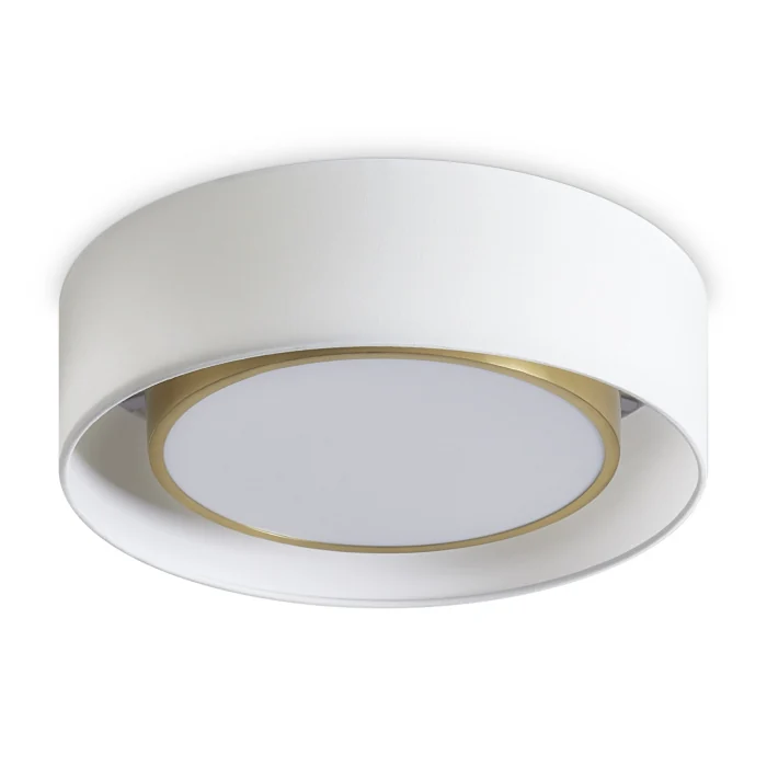 Потолочный светильник Freya Cozy FR6170CL-L52BS