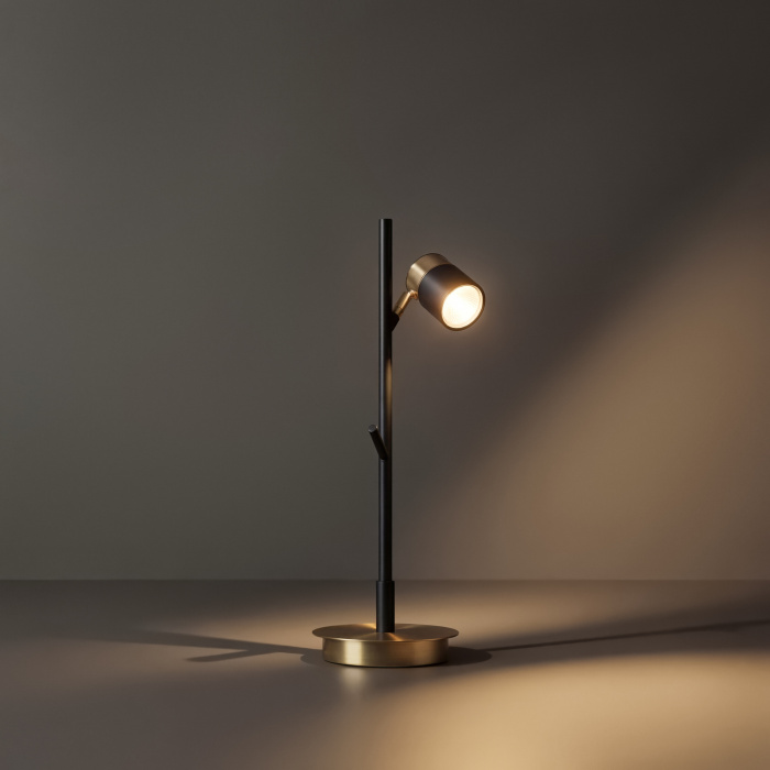 Настольная лампа Freya Enzo FR5201TL-01B