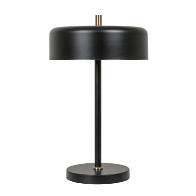 Светильник настольный Arte Lamp SKAT A7052LT-2BK