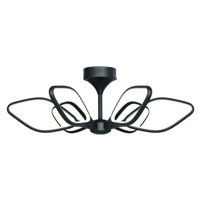 Потолочный светодиодный светильник Favourite Borges 2563-6U