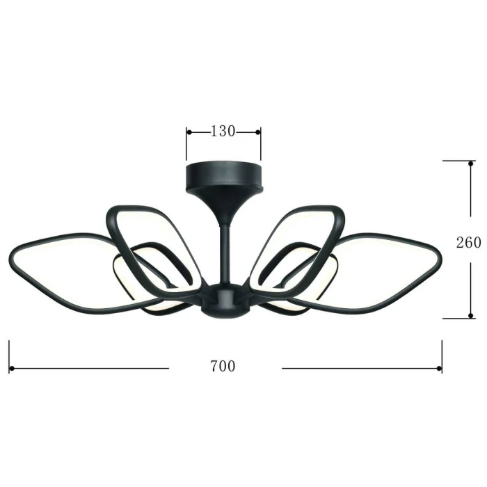 Потолочный светодиодный светильник Favourite Borges 2563-6U