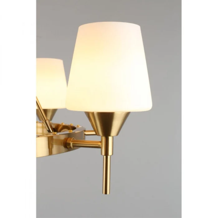 Люстра подвесная Aployt Lyus APL.840.03.08