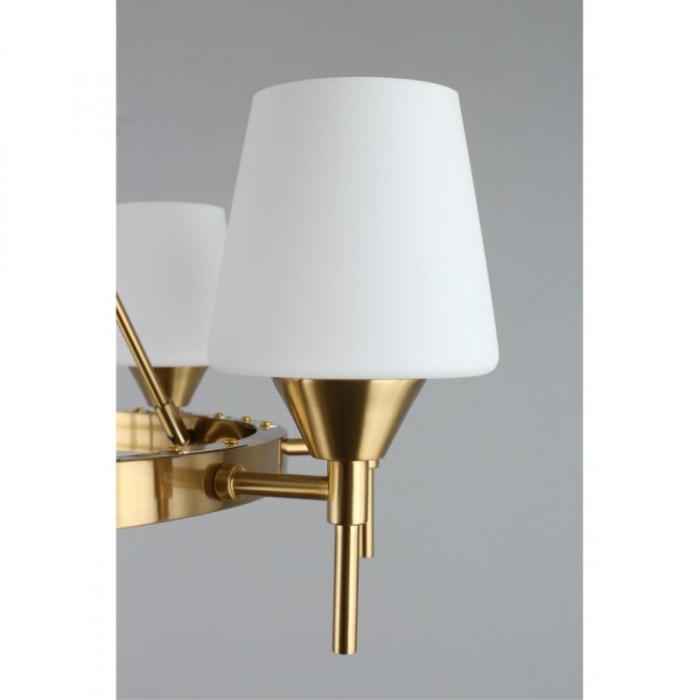 Люстра подвесная Aployt Lyus APL.840.03.08