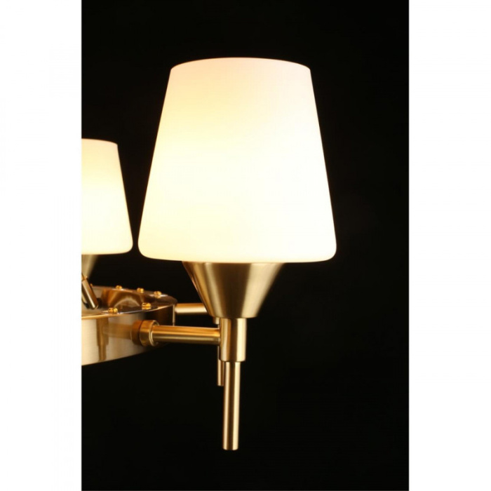 Люстра подвесная Aployt Lyus APL.840.03.08