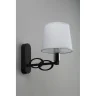 Светильник настенный Omnilux Reggello OML-64901-01