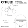 Люстра потолочная Citilux Адам Смарт CL228A141