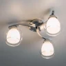 Люстра потолочная Citilux Кристи CL152137