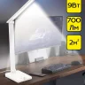 Настольная лампа Citilux Ньютон CL803080