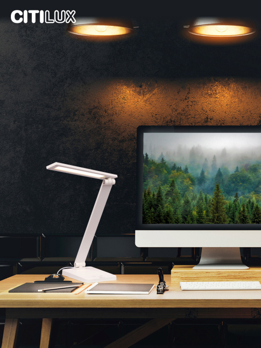 Настольный светильник Citilux Ньютон CL803080