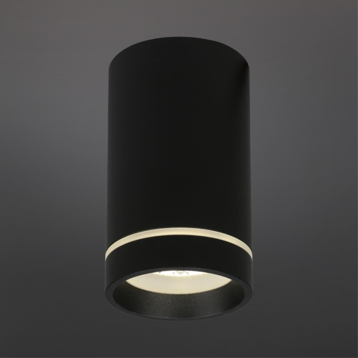 Светильник накладной Aployt Edda APL.0054.19.10