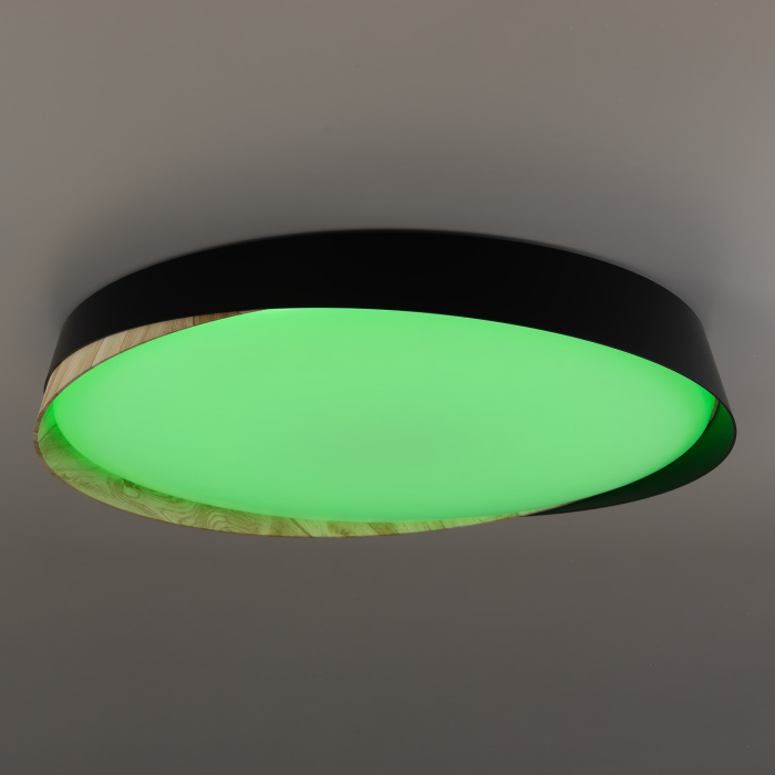 Светильник потолочный Citilux BONNY CL754451G