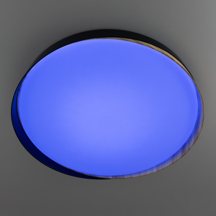 Потолочный светильник Citilux Bonny CL754451G