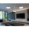 Люстра светодиодная на штанге AMBRELLA light FL4856
