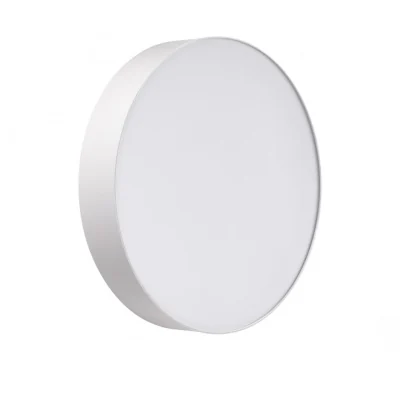 Настенно-потолочный светильник СОНЕКС BASICA 7779/DLN