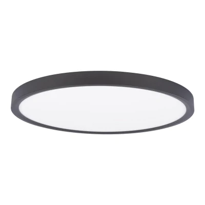 Потолочный светильник LOFT IT Extraslim 10227/40 Black