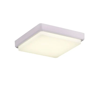 SLE200212-01 Светильник потолочный Белый/Белый LED 1*20W