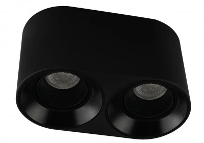 Накладной светильник Denkirs Rodvig DK3096-BK