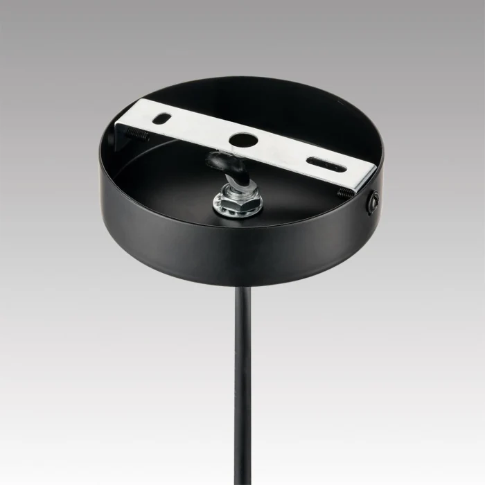 Подвесной светильник Lumion Palermo 8281/4