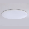 Умный светодиодный светильник Smart Ambrella Light 30W с Wi-Fi, Яндекс Алисой, Tuya, Smart Home, Alexa и ИК пультом Ambrella light FZ2003