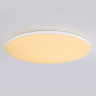 Умный светодиодный светильник Smart Ambrella Light 30W с Wi-Fi, Яндекс Алисой, Tuya, Smart Home, Alexa и ИК пультом Ambrella light FZ2003