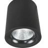 Потолочный светодиодный светильник Arte Lamp Facile A5112PL-1BK
