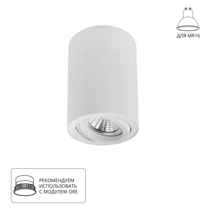 Точечный накладной светильник Arte Lamp SENTRY A1566PL-1WH