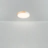 Потолочный светильник Freya FR6129CL-L80W