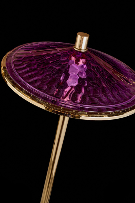 Торшер Leon Chantale LE3027/1F GD/PU