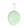 Подвесной светильник Ledron 9203P/1D Green