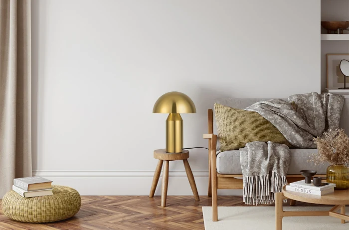 Настольная лампа Freya Eleon FR5218TL-02B1