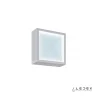 Настенно-потолочный светодиодный светильник iLedex CReator SMD-923416 WH-6000K