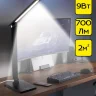 Настольная лампа Citilux Ньютон CL803081