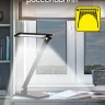 Настольная лампа Citilux Ньютон CL803081