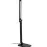 Настольная лампа Citilux Ньютон CL803081