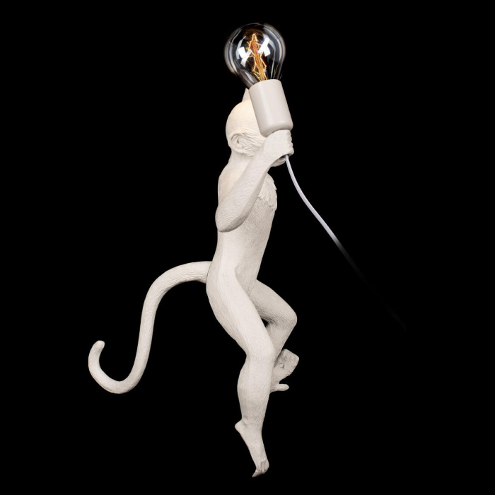 Настенный светильник LOFT IT Monkey 10314W/A