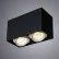 Потолочный светильник Arte Lamp Pictor A5654PL-2BK