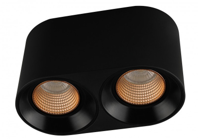 Накладной светильник Denkirs Rodvig DK3096-BK+BR