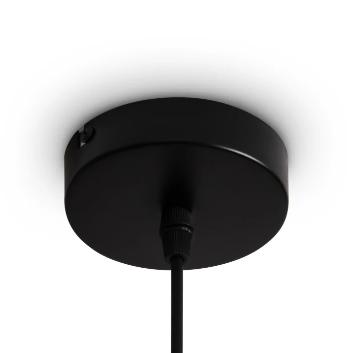 Подвесной светильник Freya Topi FR5503PL-01B