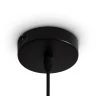 Подвесной светильник Freya Topi FR5503PL-01B