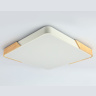 Потолочный светодиодный светильник Ambrella light FZ1312