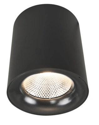 Потолочный светодиодный светильник Arte Lamp Facile A5118PL-1BK